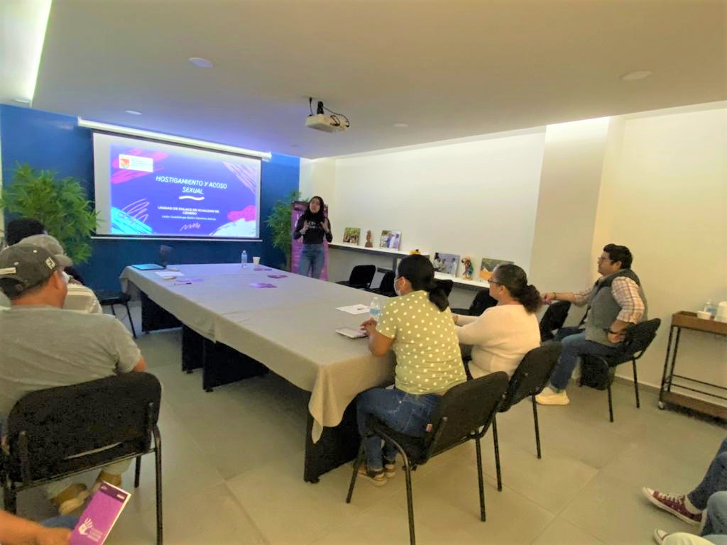 Curso Hostigamiento y Acoso Sexual